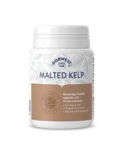 Dorwest Malted Kelp 100 Tablets - Main