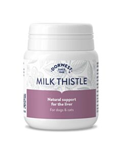 Dorwest Milk Thistle 100 Tablets - Main