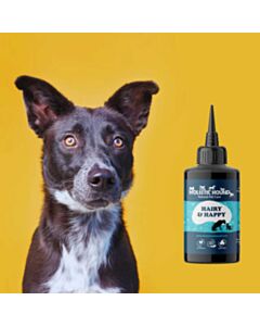 The Holistic Hound Hairy & Happy