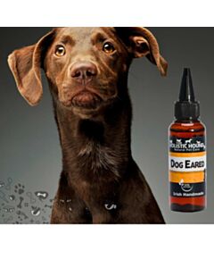 The Holistic Hound Dog Eared with brown dog
