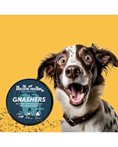 The Holistic Hound Gnashers Dental Paste