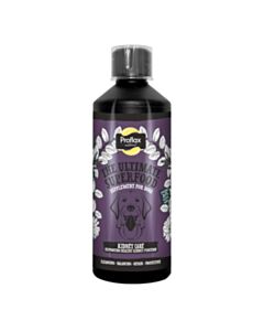 Proflax Kidney Care 500ml