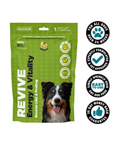 ProDog Revive for Dogs
