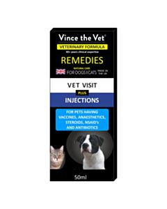 Vince the Vet Vet Visit Plus Injections