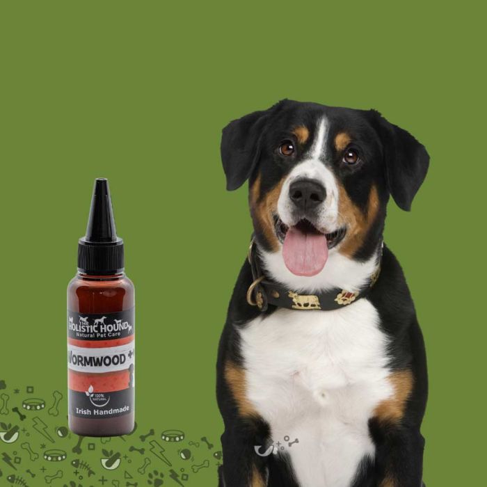 The Holistic Hound Wormwood ++ 50ml