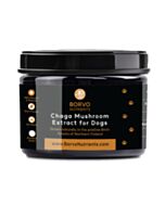 Borvo Nutrients Chaga Mushroom Extract for Dogs 40g