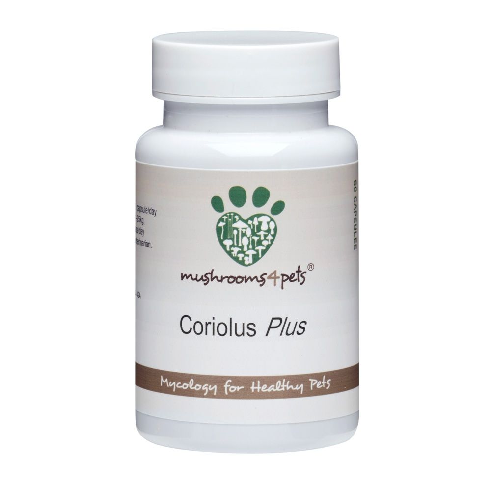 Coriolus psp hot sale for dogs