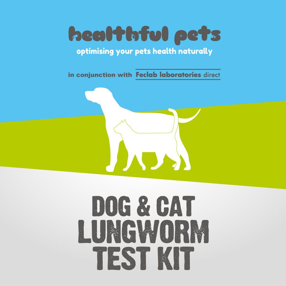 Healthful Pets Lungworm Count Kit for Dogs Cats LUNGWORM Test Kit