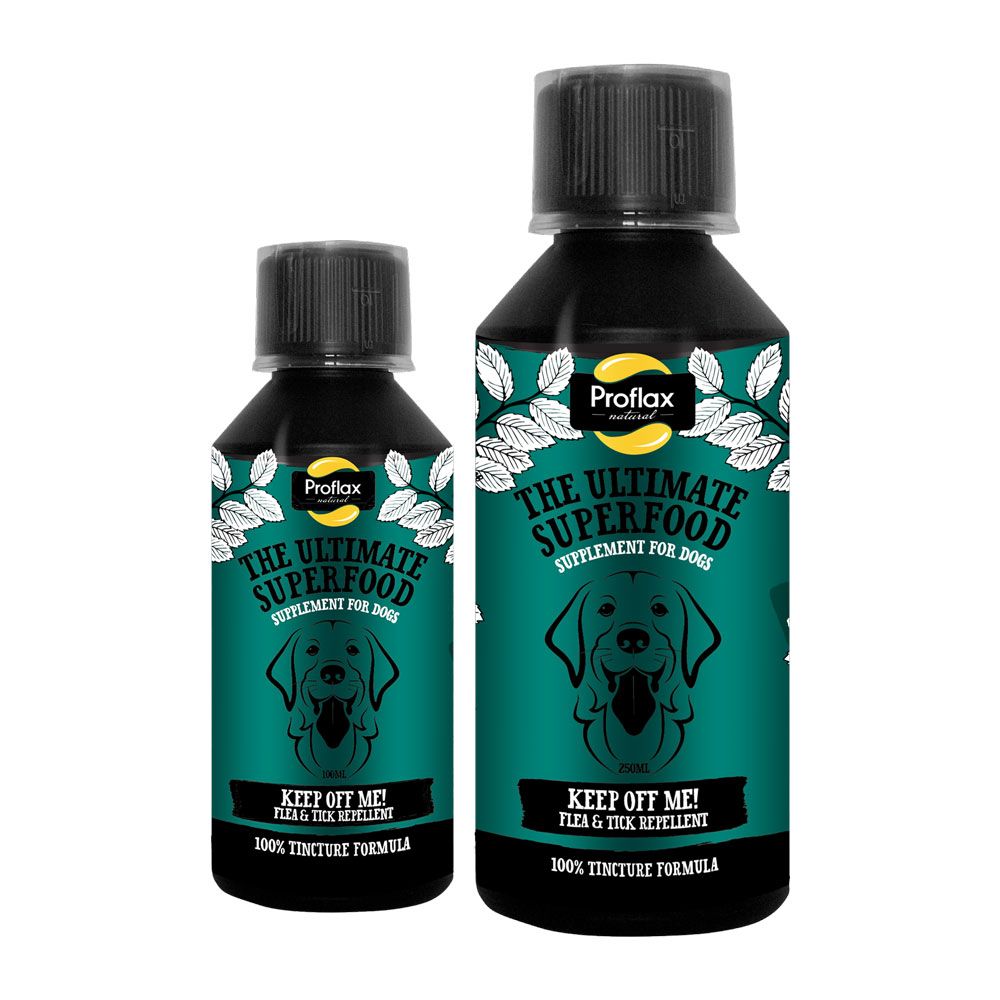 Essential oils to keep fleas off dogs hotsell
