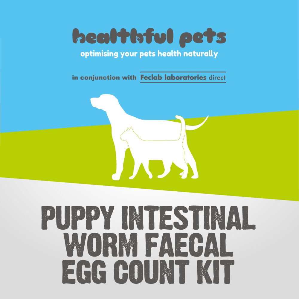 Healthful Pets Puppy Wormcount Test Kit