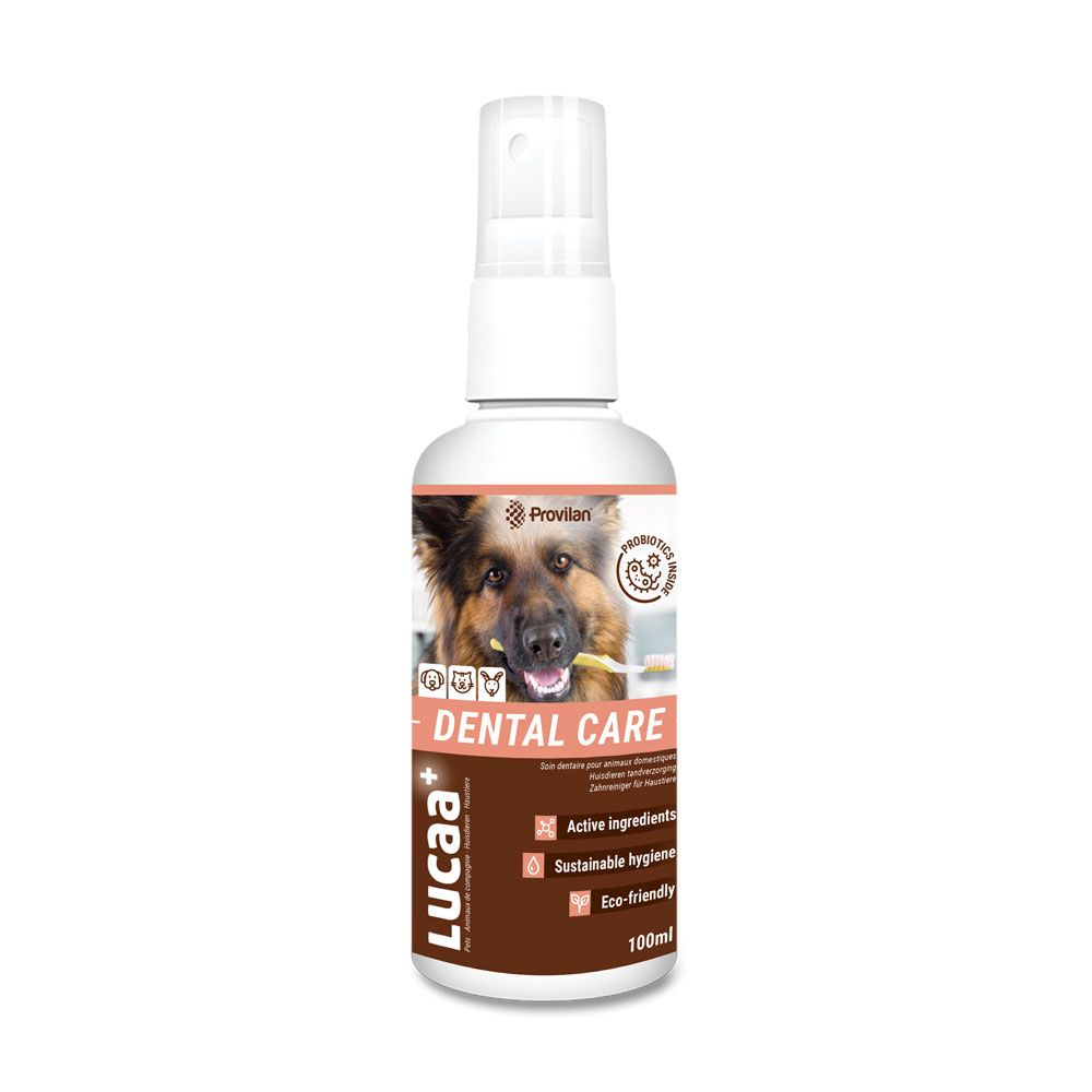 True dog dental spray top