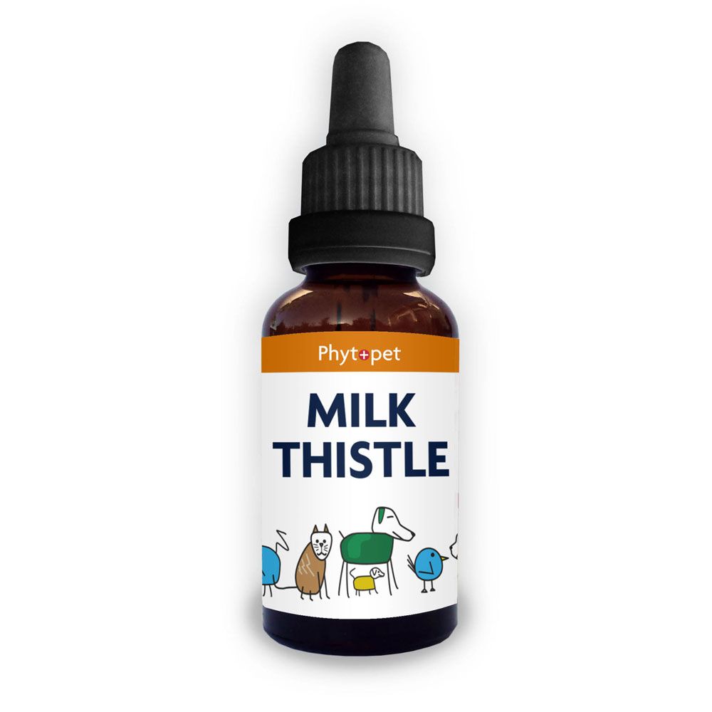 Silymarin best sale for dogs