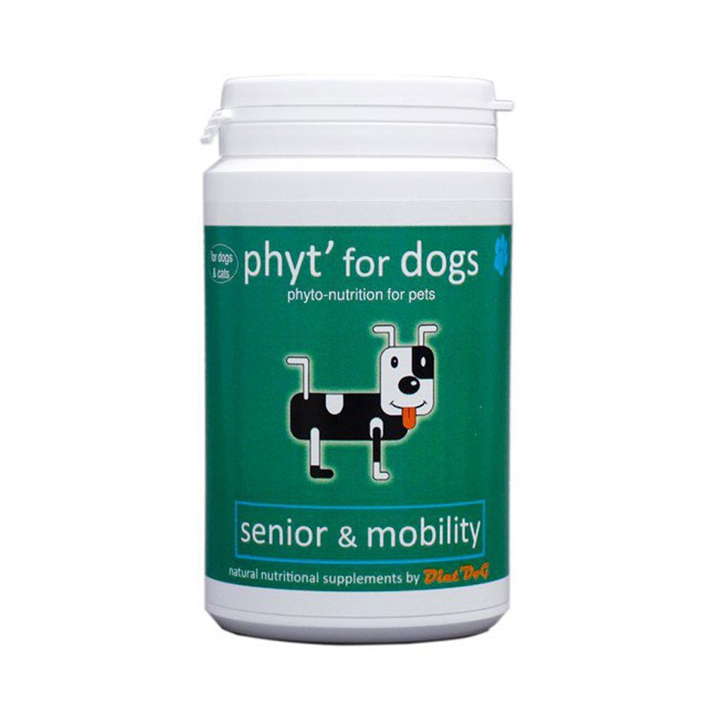 Senior dog nutrition supplements hotsell