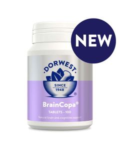 Dorwest BrainCopa 100 Tablets