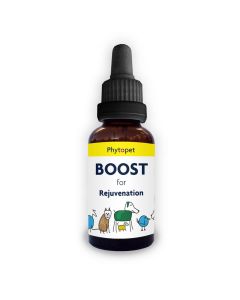 PhytoPet Boost 