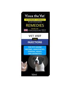 Vince the Vet Vet Visit Plus Injections 