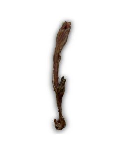 Anco Beef Tendon Main
