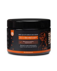 Borvo Skin & Coat+ Main image