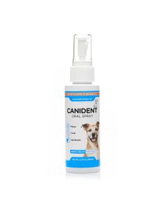 Canident Oral Spray 100ml, main image