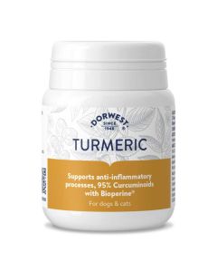 Dorwest Turmeric 100 Tablets - Main