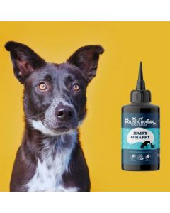 The Holistic Hound Hairy & Happy