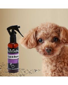 The Holistic Hound Calm & Balmy Spray with dog