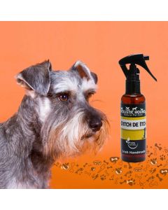 The Holistic Hound Ditch The Itch Spray with a snauzster