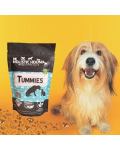The Holistic Hound Tummies 200g