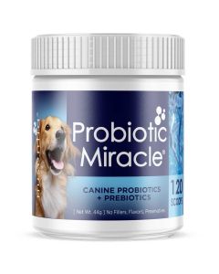 Nusentia Probiotic Miracle for dogs and cats