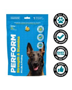 ProDog Perform Strength & Stamina Supplement for Dogs main image