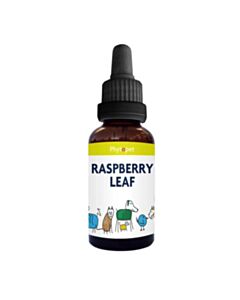 Phytopet Raspberry Leaf 30ml