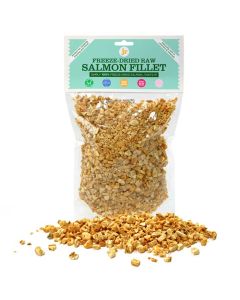 JR Pets Freeze-Dried Raw Salmon Fillet Main