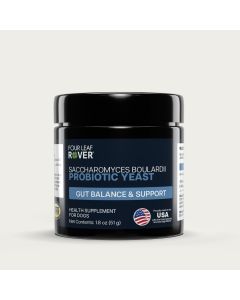 Four Leaf Rover S. Bouldardii Main Image