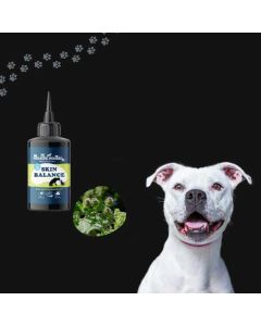 Staffy after using The Holistic Hound Skin Balance