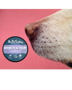 The Holistic Hound Mitee Stuff with dog