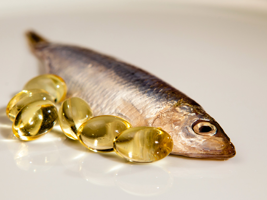 The benefits of fish oil for dogs and cats in supporting their health