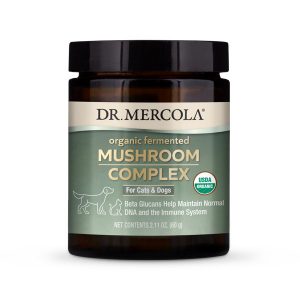 dr-mercola-mushroom-complex