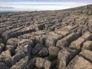 Limestone pavement