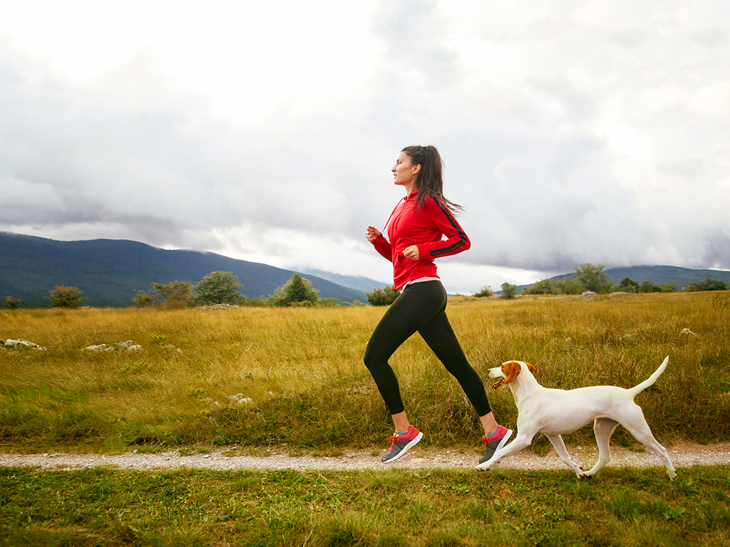 Keep Fit with Your Pets