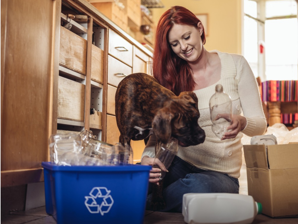 How to be an Eco-Friendly Pet Owner