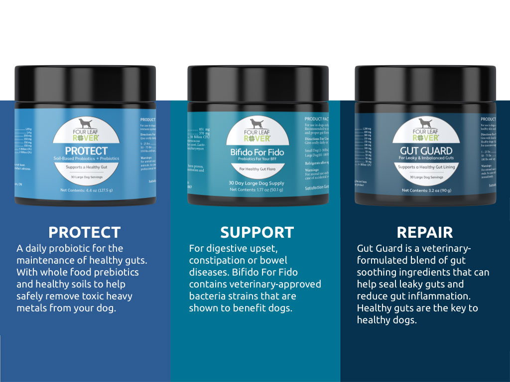 Four Leaf Rover Which Probiotic is right for my dog?