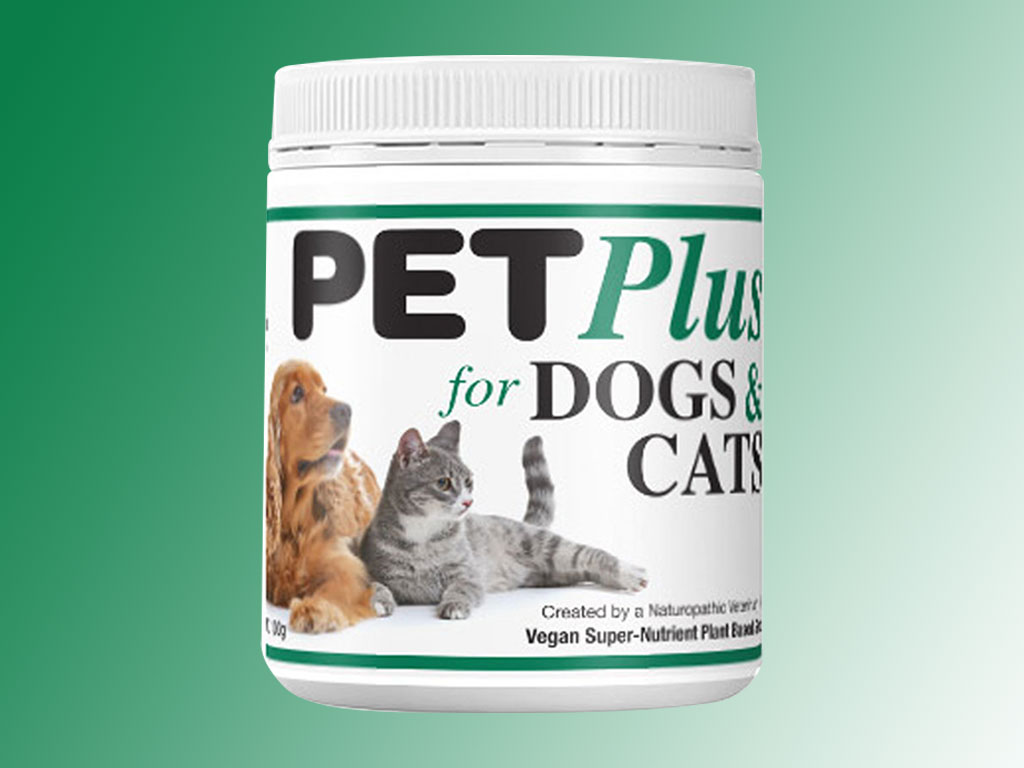 What Has Changed In Pet Plus?