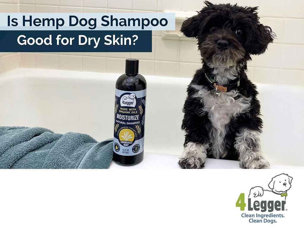 Is  4-Legger Hemp Dog Shampoo Good for Dry Skin?