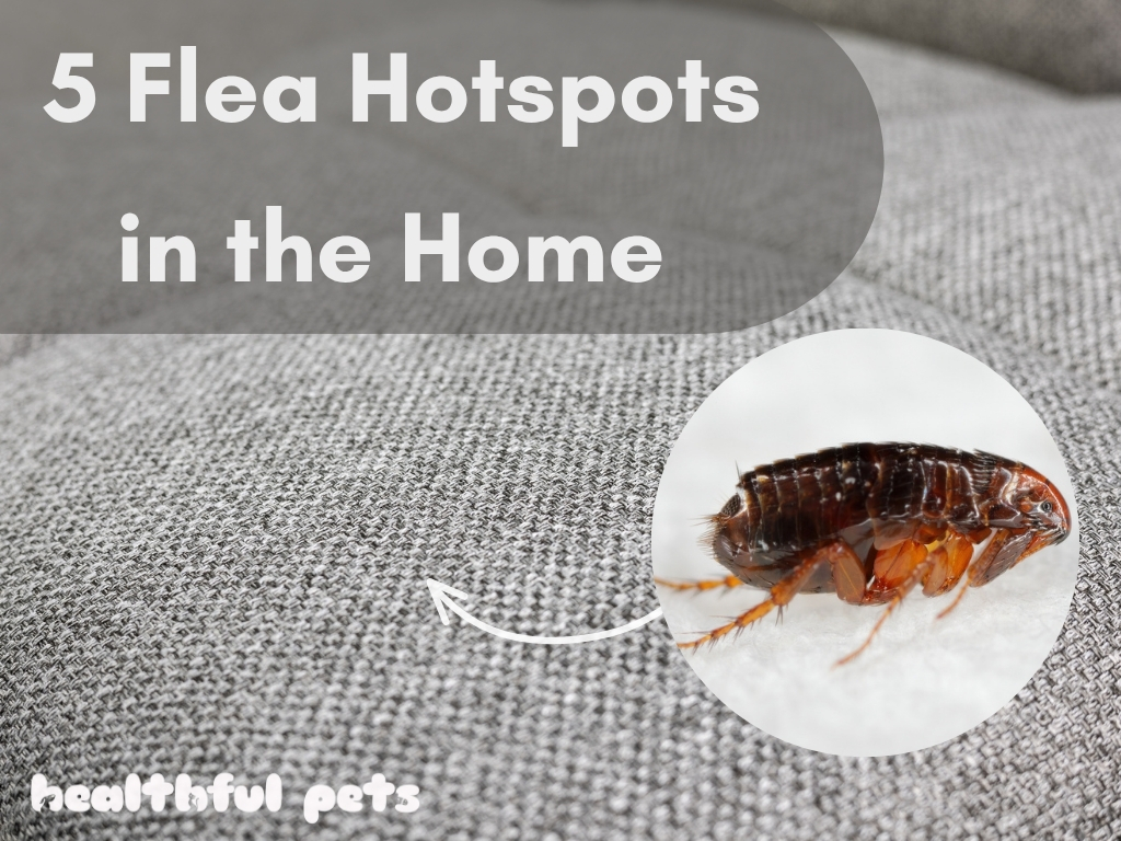 Detailed close up of textile, with an overlaid image of a close up flea