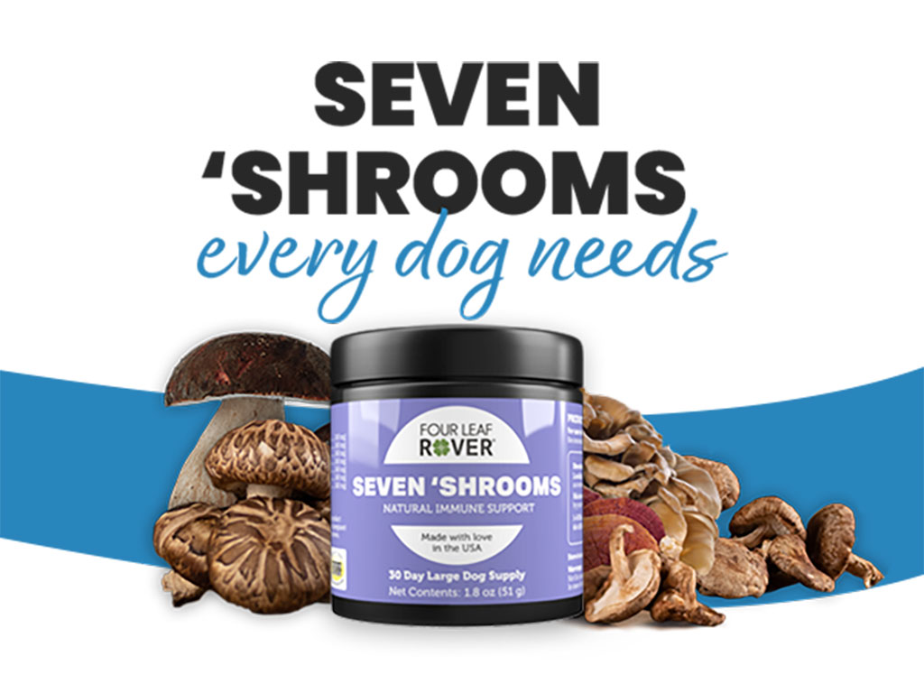 Mushrooms for Pain Relief