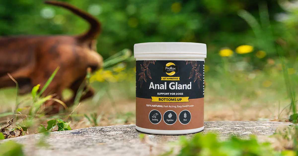 Proflax Anal Gland Support and a dog running off