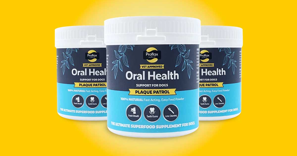Proflax Oral Health 3 tubs, main image