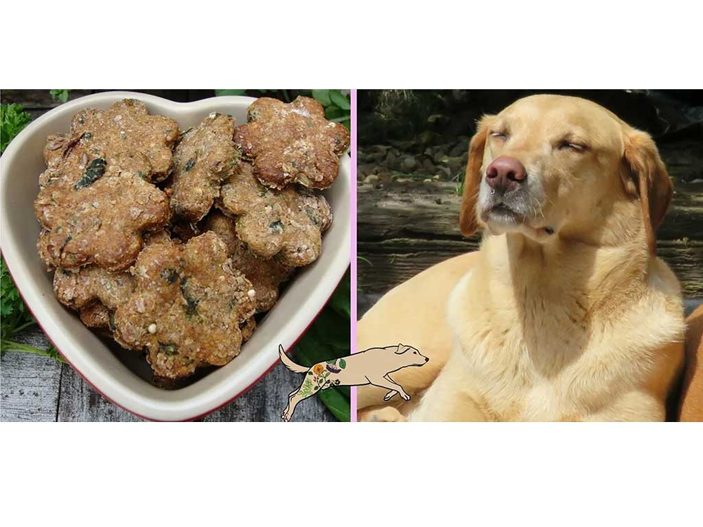 Homemade Tranquil calming treats, next to a yellow labrador