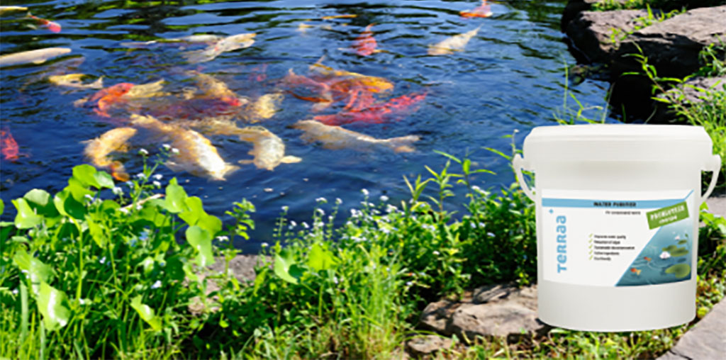 PROBIOTIC CLEANING FOR PONDS AND AQUARIUMS