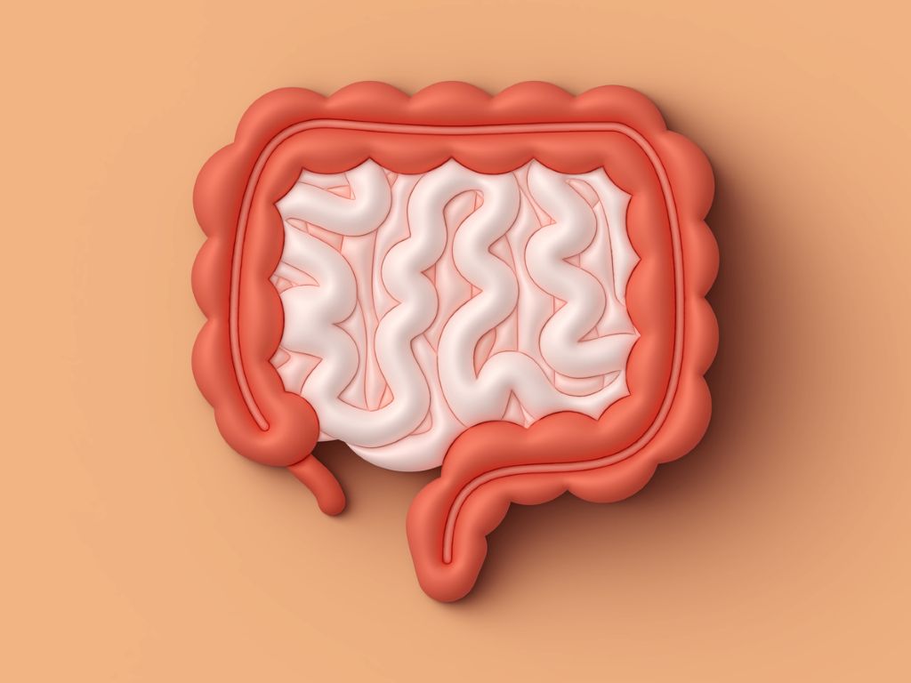 Illustrative graphic of digestive system